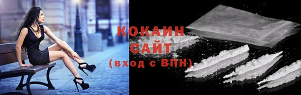 СК Белокуриха