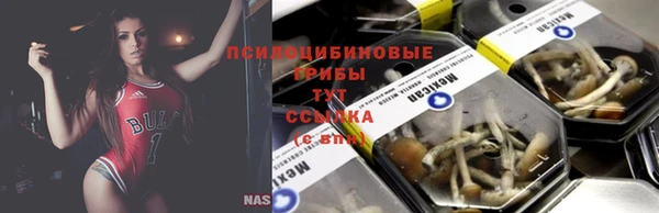 СК Белокуриха